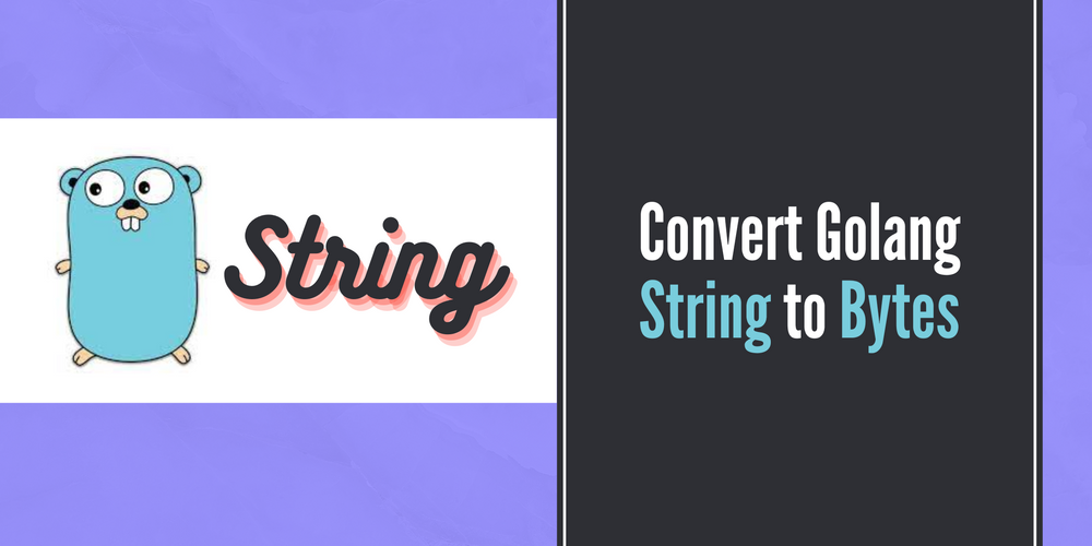 Convert string to bytes in golang