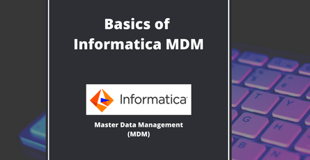 Basics of Informatica MDM (Master Data Management)